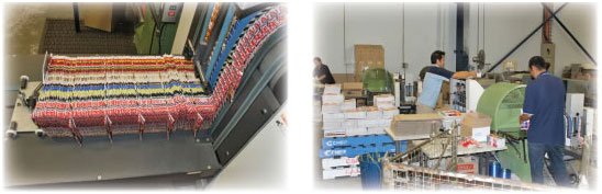 Folding, Inserting, Barcoding, Lodgement & Dispatch