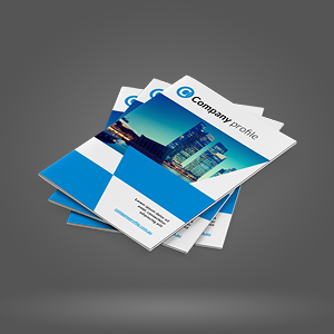 Company Profile
