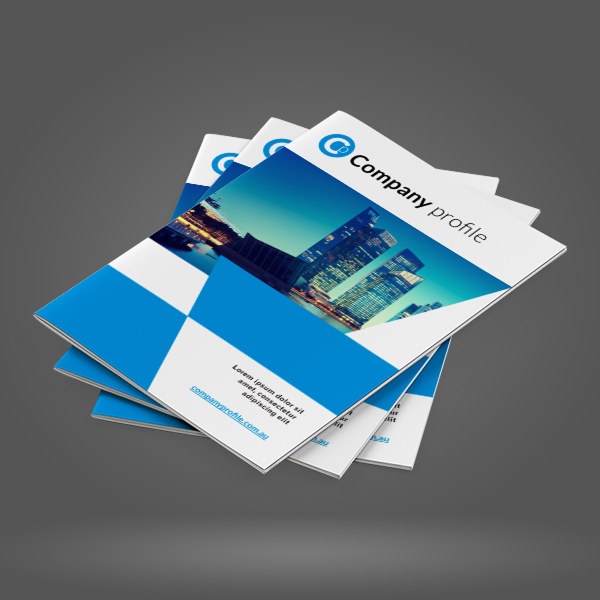 Company Profile