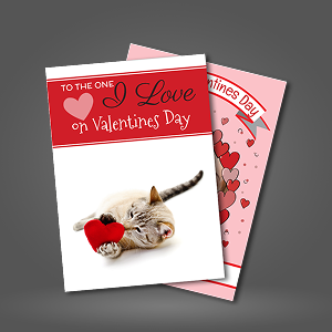 Greeting Cards