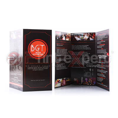 https://d3pyarv4eotqu4.cloudfront.net/printexpe/images/product/744_brochure.jpg