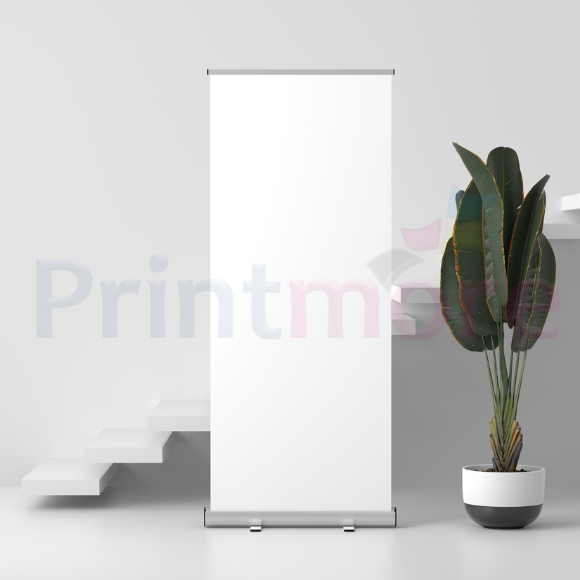 Banner + Roll Up Stand