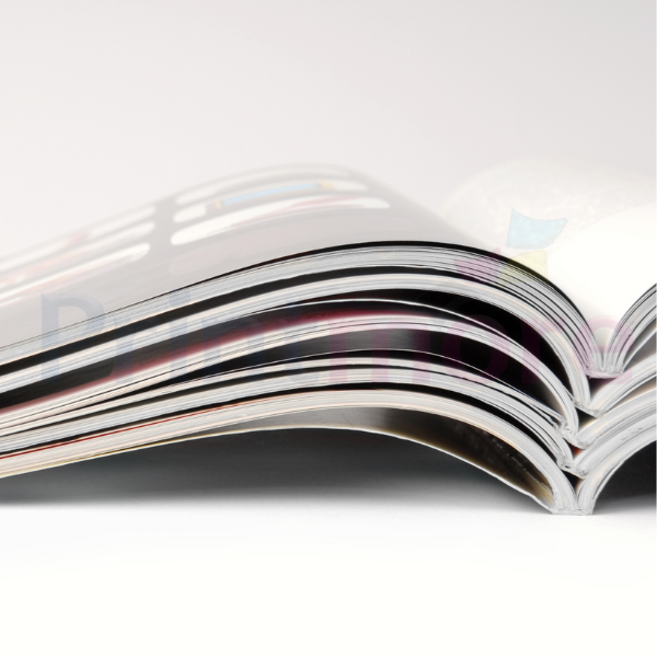 Offset Print Booklet - A5 (Urgent Self Collection) 3