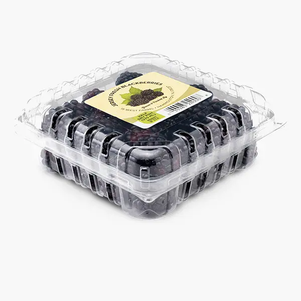 High-quality container labels for jars, boxes & food packaging with durable adhesive and premium digital printing.