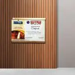 Wall Mounted Acrylic Display 2