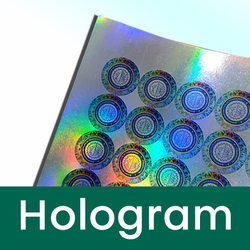 Holographic