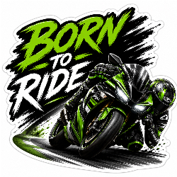 Rider