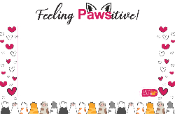 Pet Cat - (Feeling Pawsitive) 1800x1180 - Life