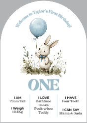 1st Birthday Sign