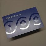 Spot UV Business Cards (5-7days) 2