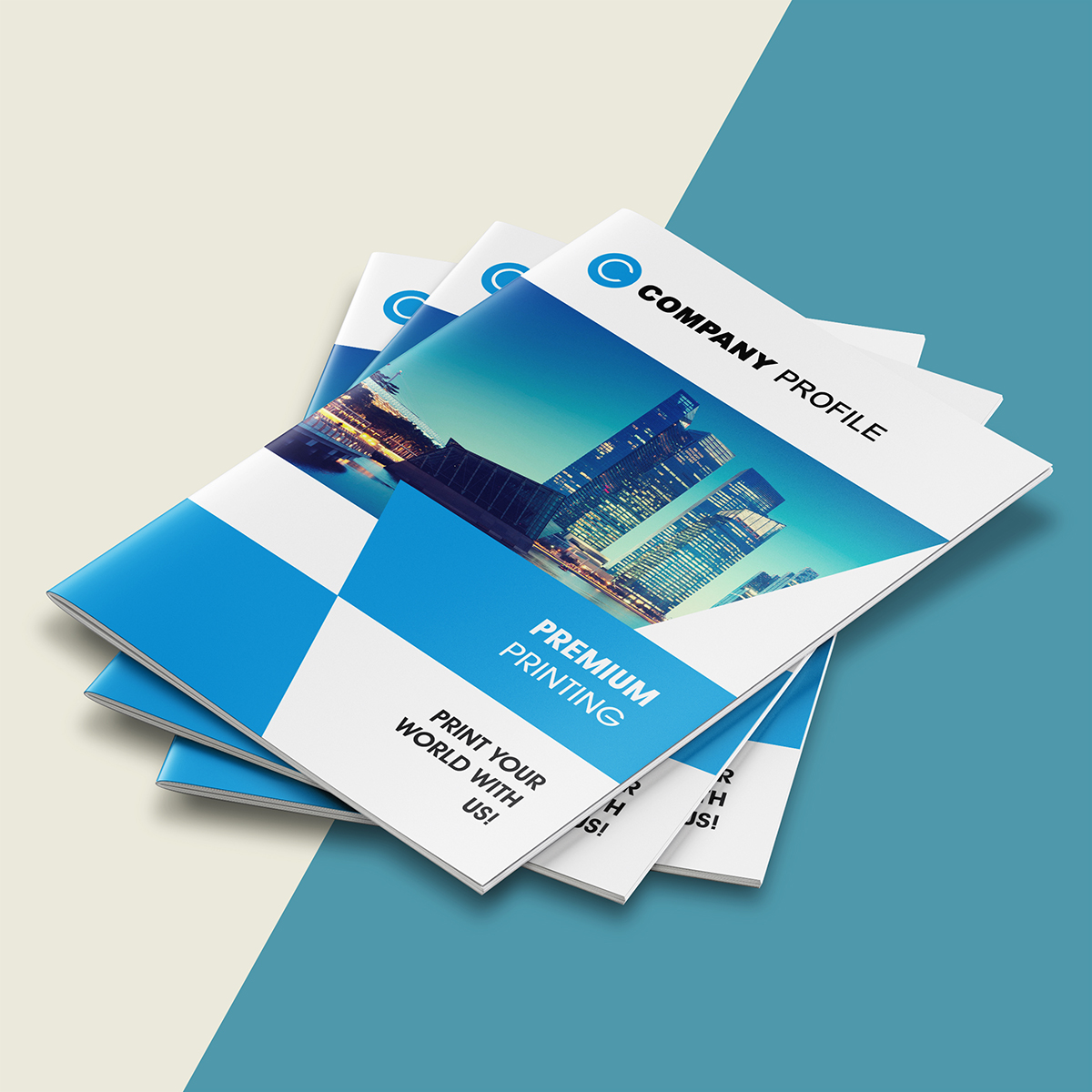 Company Profile Book